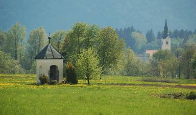 Lake Bled Tour — 3
