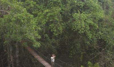 Treehouse Lodge، إقامة قصيرة (حسب الطلب) — 5