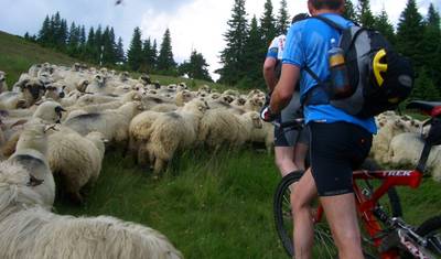 Transilvânia e Bucovina de bicicleta — 2