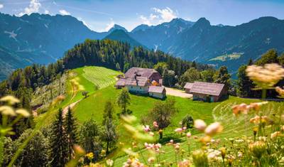 Privado - Cidades Imperiais e Alpes Austríacos a partir de Belgrado — 4