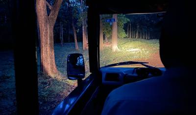Z Goa do Parku Narodowego Anshi (Rezerwat Tygrysów Kali), Rozszerzenie wycieczki safari po dzikiej przyrodzie — 4