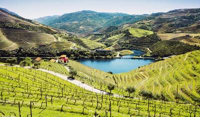 Douro Experience 2027 — 2