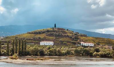 Douro Experience 2027 — 3