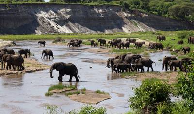 Safari de 3 Dias Acessível na Tanzânia a Partir de Zanzibar — 4