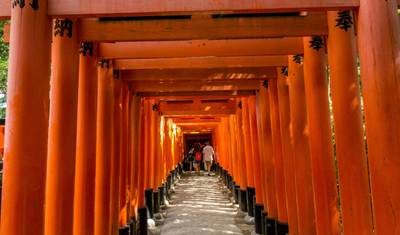 Japan Cycling Tour: Discover Japan's Heritage On Bike — 5