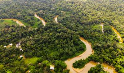 Amazon Camping and Kayaking Discover Yasuni 5-Day — 3