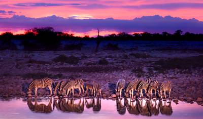 Etosha - 19-Day Adventure Tour — 2