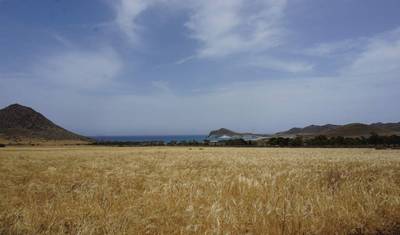 Andaluzia - o Parque Natural do Cabo de Gata (8 dias) — 2
