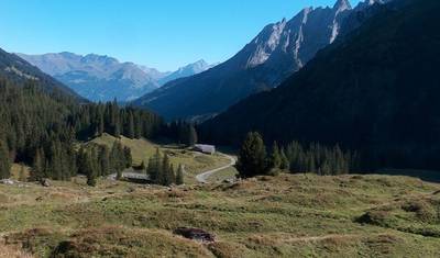 Via Alpina - Bear Trek (8 days) — 5