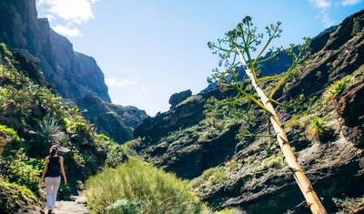 مشي لمسافات طويلة في Tenerife و La Gomera في 8 أيام — 3