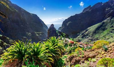 Caminhe pelo Paraíso de Tenerife em 8 Dias — 5