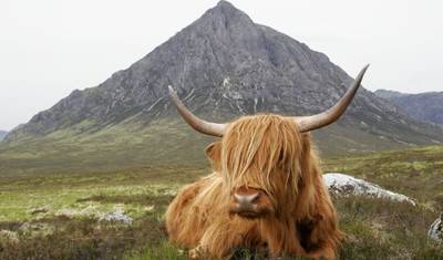 Escócia - West Highland Way (10 dias) — 2