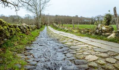 Caminho de Santiago - Caminho Francês: Sarria-Santiago (10 dias) — 4