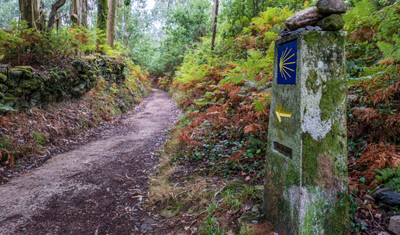 Caminho de Santiago - Caminho Francês: Sarria-Santiago (10 dias) — 3