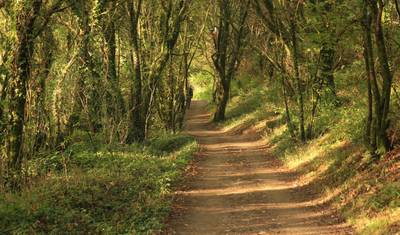 Caminho de Santiago - Caminho Francês: Sarria-Santiago (10 dias) — 2