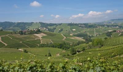 Hike Piedmont in 8 Days (Easy) — 3