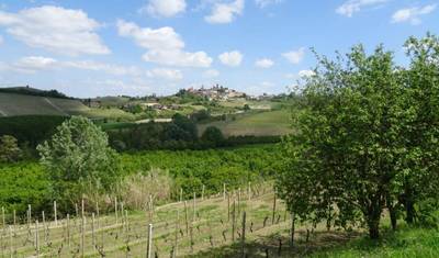 Hike Piedmont in 8 Days (Easy) — 5
