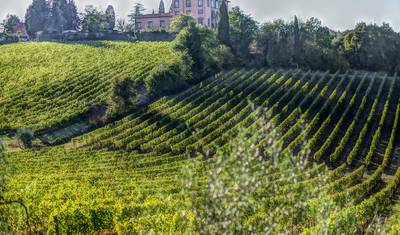 Itália - Cicloturismo em torno de San Gimignano e Volterra 8 Dias — 5