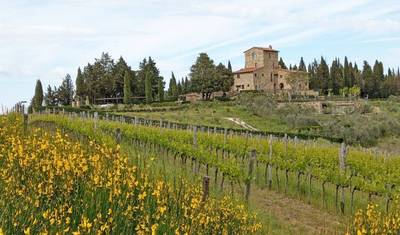 Picturesque Tuscany 8 Days — 3
