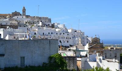 Od Morza Adriatyckiego do Doliny Itria: Polignano a Mare i Trulli z Alberobello - 8 dni — 5