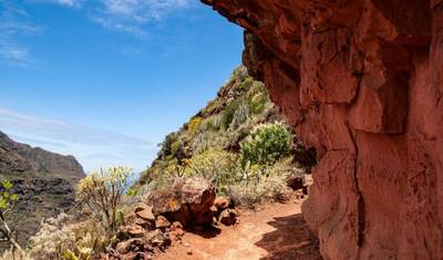 Hike Tenerife (Comfort) — 2