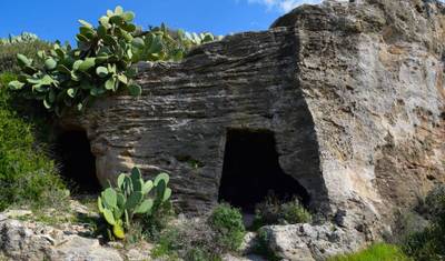 Hike Halkidiki — 5