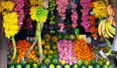 Destaques do Sri Lanka (14 dias) — 4