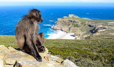 Hike South Africa in 22 Days (Comfort) — 2