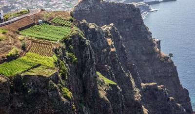 New Year's Eve in Madeira - wander into the new year in comfort (8 Days) — 3