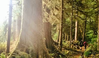 Noroeste do Pacífico: Observação de Baleias, Restauração Ecológica e Caminhada nas Montanhas Cascade de Washington — 5