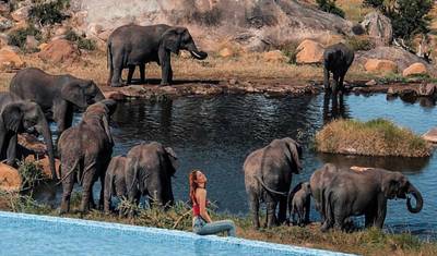11 Days Tanzania and Zambia Private Tours (Arusha -Livingstone fly in ) — 4