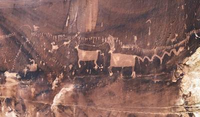 أفضل ما في Bears Ears وما بعدها: جولة استكشافية — 2