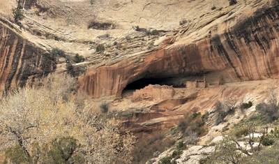 أفضل ما في Bears Ears وما بعدها: جولة استكشافية — 3