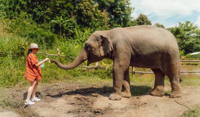 Thailand Escape — 5