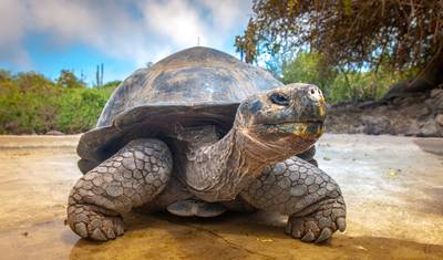 Galapagos Multisport Adventure - 10 days — 5
