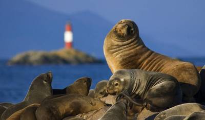 Grand Patagonia Journey: Bariloche, El Calafate & Ushuaia — 4