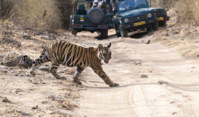 North India Tour with Ayodhya — 4