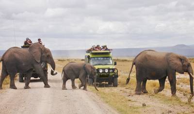Safári de Aventura Eletrizante de 7 Dias em um Jeep Land Cruiser 4x4 — 3