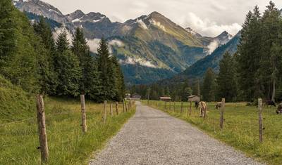 Ciclovia Lago Constança-Königssee Com Transfer de Bagagem — 5