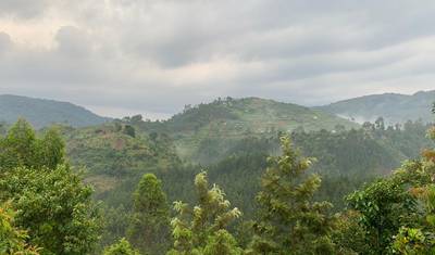 Safari Econômico de Trekking de Gorilas de 3 Dias em Uganda via Entebbe — 2