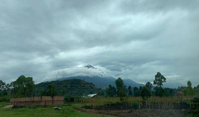 Safari Econômico de Trekking de Gorilas de 3 Dias em Uganda via Entebbe — 3