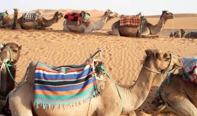 Aventura em Família e Praia em Marrocos - 12 dias — 5