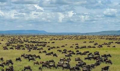 3 Day Masai Mara Budget Camping Safari on 4x4 Land Cruiser Jeep — 4