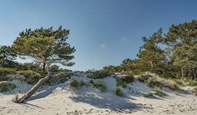 Segelreise Die schönsten Seiten der Ostsee — 5
