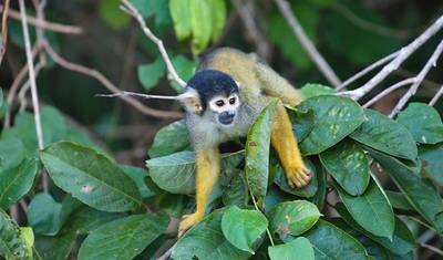 Premium Peru in Depth (21 destinations) — 4