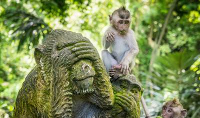 Bali: Błogość — 4
