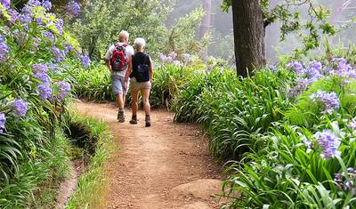 Madeira: Trilhas de Caminhada 'Levada' (Tour Autoguiado) — 2