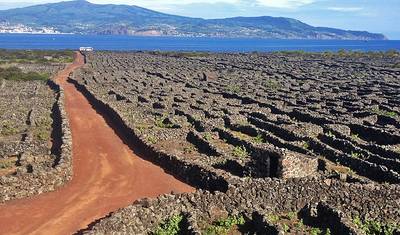 アゾレス諸島：ピコ島、ファイアル島、サン・ジョルジェ島探検（セルフガイドウォーキングツアー） — 4