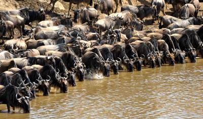 4-Day High End Super Luxury Migration Jeep Safari — 3