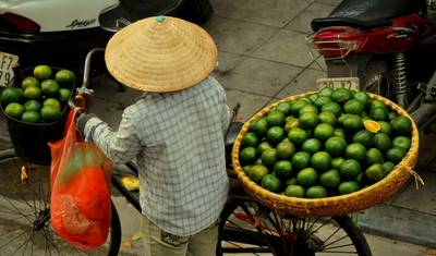 Vietnam & Cambodia: Small Group Roundtrip & Bathing (incl. flight) — 4